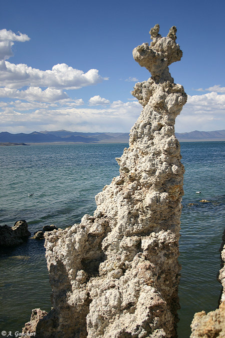 Mono Lake